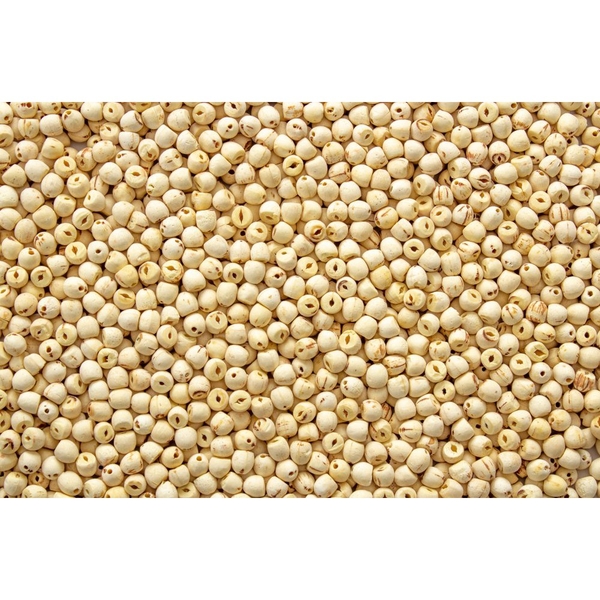 Hạt sen sấy khô THE GARDEN | Gói 500g
