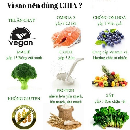 Hạt chia Organic THE GARDEN | Túi 500g