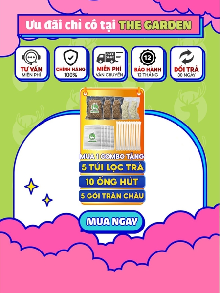 COMBO 5 SET TRÀ SỮA NẤU 50-60 LY (Đường đen, matcha, chocolate, khoai môn, việt quất) - TẶNG 10 Ống hút, 5 túi lọc trà, công thức nấu - THE GARDEN - Tea, trà
