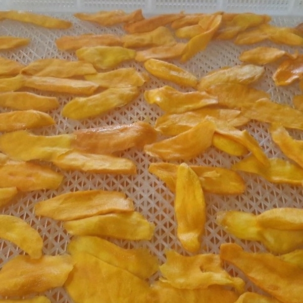 Xoài sấy dẻo nguyên miếng 500GR - THE GARDEN