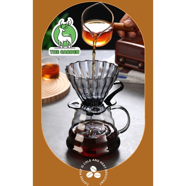 Bình pha cà phê V60  | Dung tích 600ml và 800ml