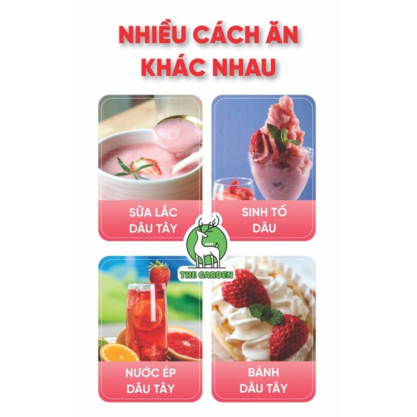 Dâu tây sấy giòn THE GARDEN | Túi 500GR
