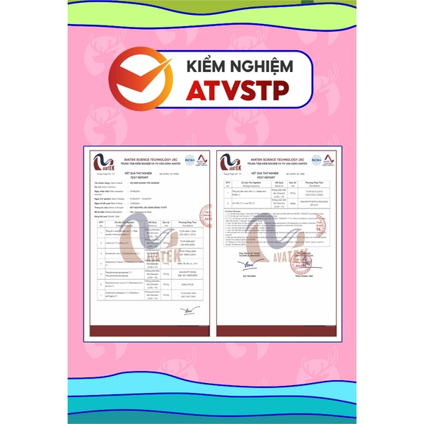 Set Nguyên Liệu Làm Bánh Bông Tuyết THE GARDEN thành phẩm 40 viên
