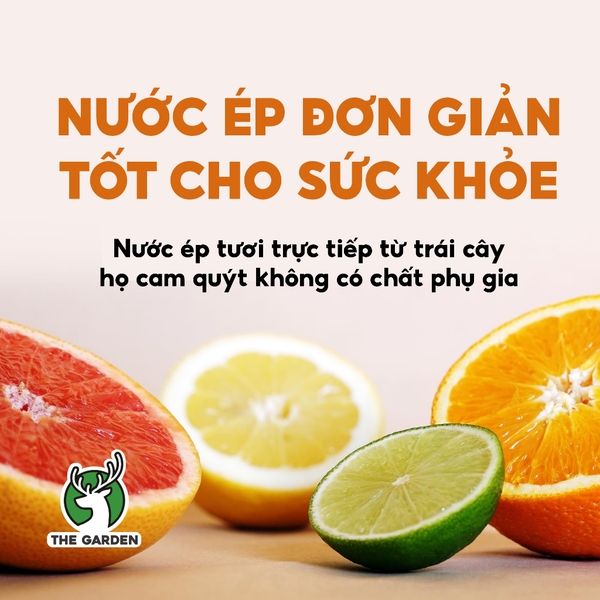 Máy Vắt Cam THE GARDEN TG-40 – Dung tích lớn 1.2L, Có Hai Đầu Vắt Lớn – Nhỏ, Công Suất 40W, Vắt Kiệt Nước