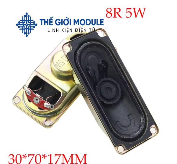 Loa 8 Ohm 5W 3070 hình chữ nhật | Thế Giới Module