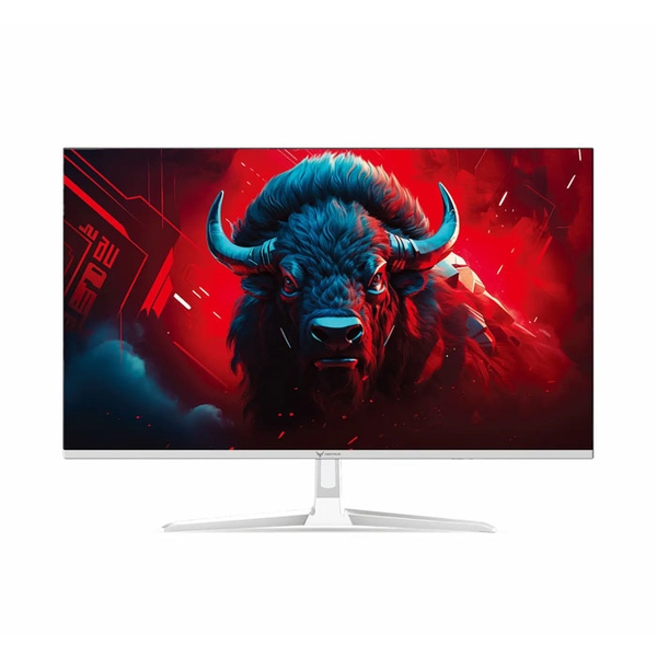 MÀN HÌNH CENTAUR CT2405HM-W (23.8 INCH| FHD| IPS| 100HZ| 5MS| WHITE)