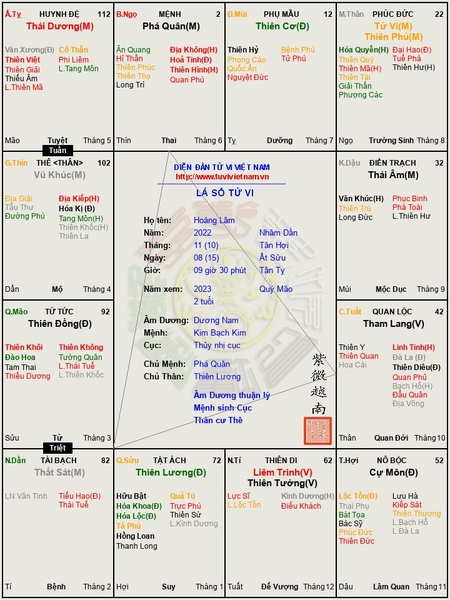 lá số tử vi của cháu Hoàng Lâm