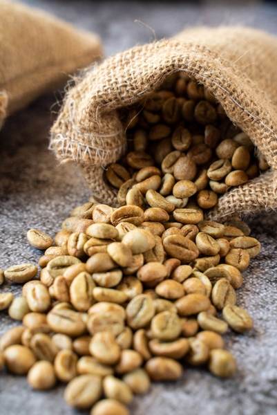 Robusta Yellow Honey S16+