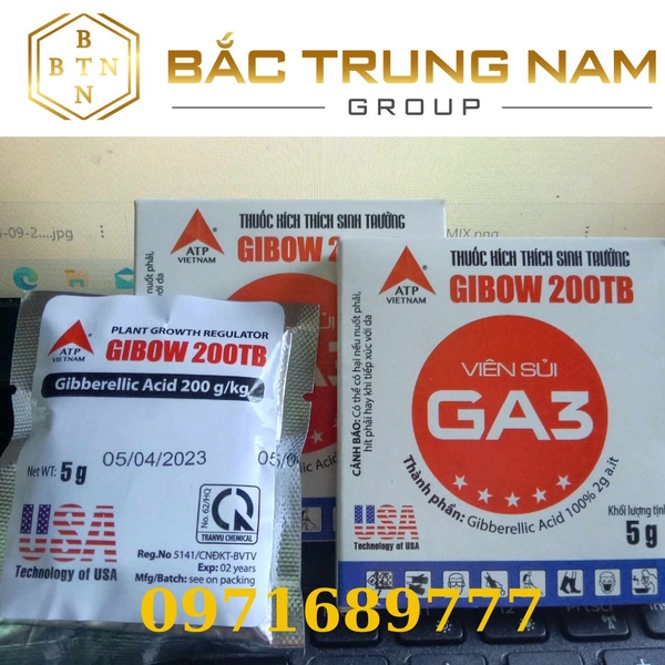 Thuốc Kích Thích Sinh Trưởng GIBOW 200TB ( Viên Sủi GA3 )