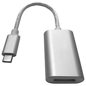 Cáp Chuyển Đổi USB Type-C Sang Displayport 40372 (15cm)
