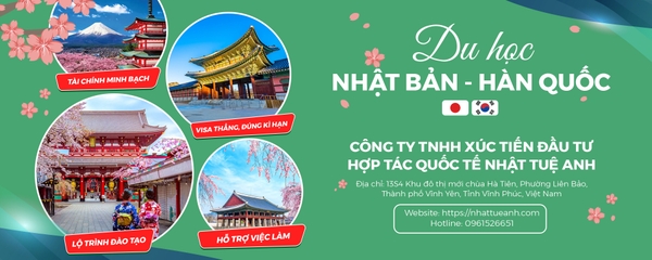 Công ty TNHH xúc tiến đầu tư - hợp tác quốc tế Nhật Tuệ Anh