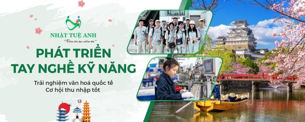 Công ty TNHH xúc tiến đầu tư - hợp tác quốc tế Nhật Tuệ Anh