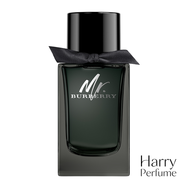 Burberry - Mr. Burberry EDP