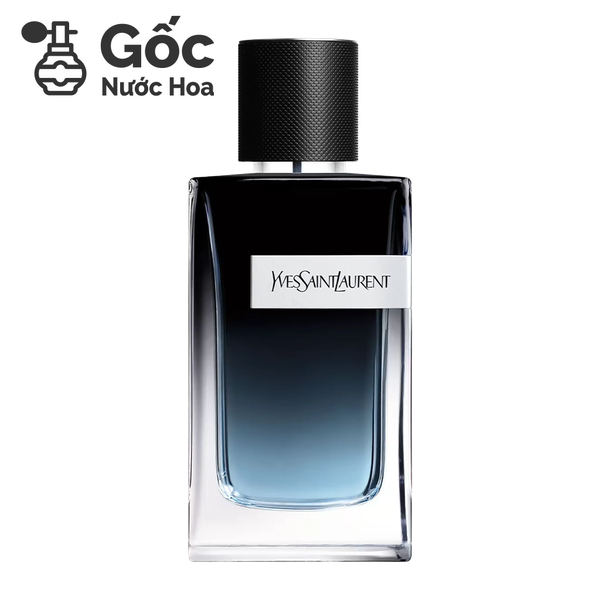 Gốc YSL - Y EDP