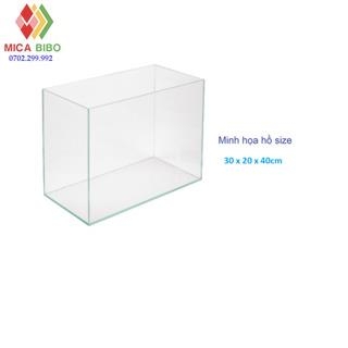 Combo 5 tấm nhựa mica cứng trong suốt cắt sẵn làm hồ cá, chuồng hamster, hộp trưng bày...