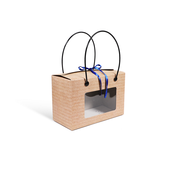 TÚI GIẤY KRAFT ĐỰNG YẾN 19 x 12.5CM