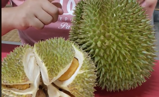 SẦU RIÊNG TÍ HON 😍 Có ai mê Sầu riêng không nè?