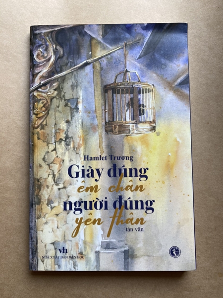 Giày đúng êm chân, người đúng yên thân