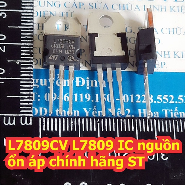 Đện tử Khải Định - Thỏa sức đam mê