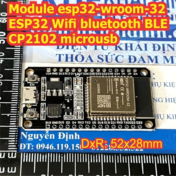 Đện tử Khải Định - Thỏa sức đam mê