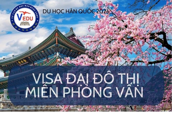 VISA DU HỌC ĐẠI ĐÔ THỊ