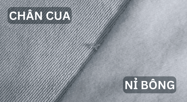 so sánh vải nỉ và chân cua