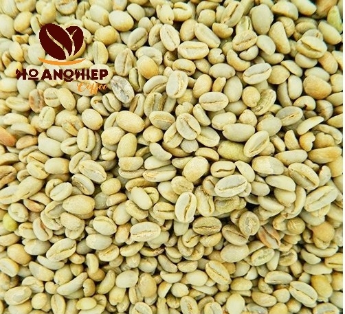 cau-dat-arabica-green-coffee-green-beans-moka