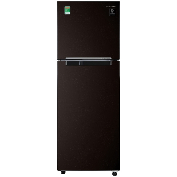 Tủ lạnh Samsung Inverter 236 lít RT22M4032BY/SV - Chính hãng