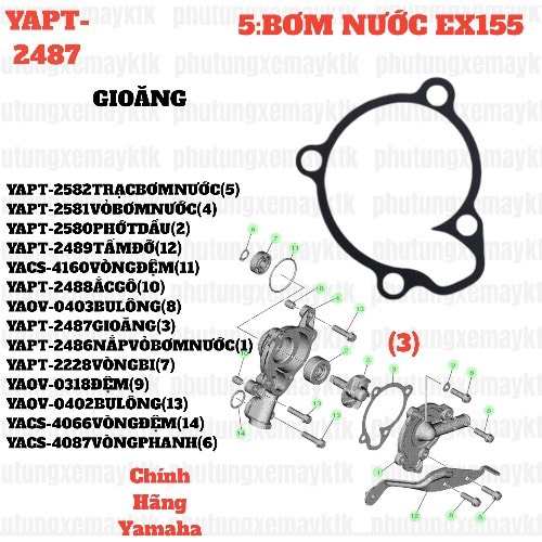 [EX155][5:BƠM NƯỚC] YAPT-2487 GIOĂNG EX155(2022) (3)-[Yamaha]