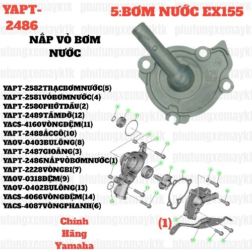 [EX155][5:BƠM NƯỚC] YAPT-2486 NẮP VỎ BƠM NƯỚC EX155(2022) (1)-[Yamaha]