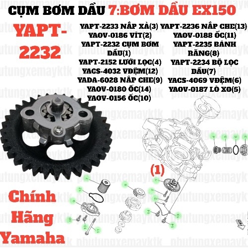 [EX15][7:BƠM DẦU] YAPT-2232 CỤM BƠM DẦU EX15 (15-18) (1). EX155 [7:BƠM(1)]