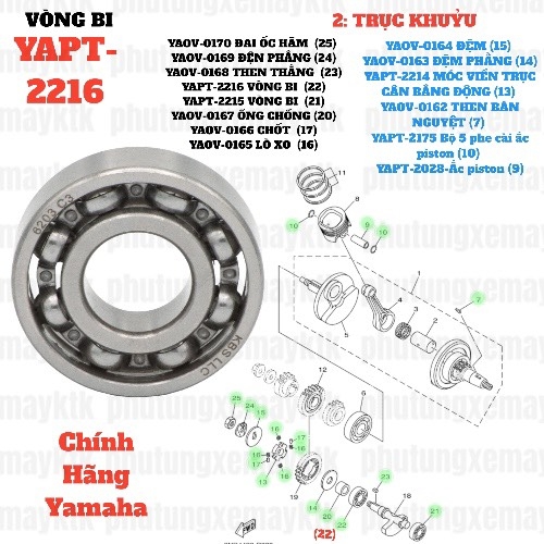 [EX15][2:TRỤC KHUỶU] YAPT-2215 VÒNG BI -EX15 (15-18) (21)-[Yamaha]