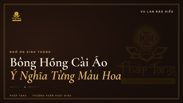 Bông Hồng Cài Áo Vu Lan: Ý Nghĩa Từng Màu Hoa & Nguồn Gốc