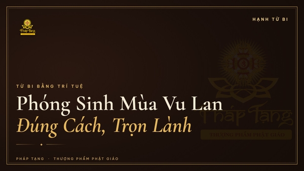 Phóng Sinh Mùa Vu Lan Đúng Cách: Ý Nghĩa & Những Sai Lầm Cần Tránh