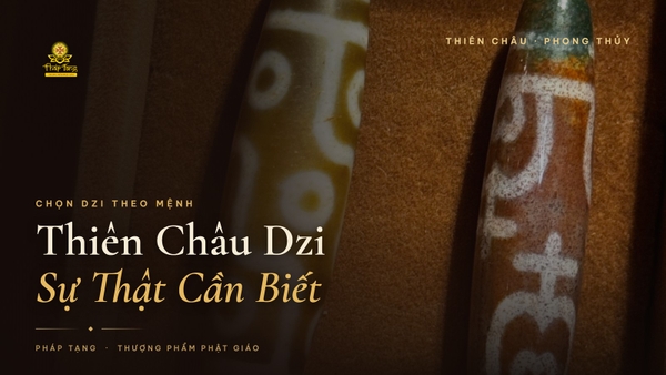 Thiên Châu Dzi Là Gì? Sự Thật Về Việc Chọn Dzi Theo Mệnh & Số Mắt