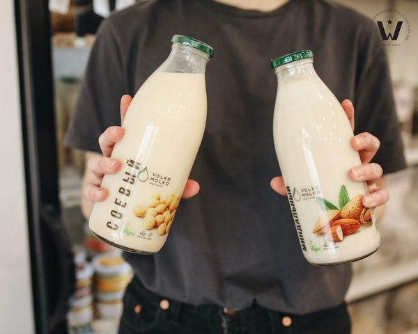 Máy sữa hạt loại nào tốt? Kinh nghiệm chọn mua cho người mới bắt đầu