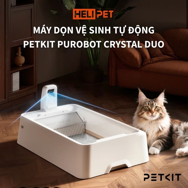 Máy Dọn Vệ Sinh Mèo Petkit Purobot Crystal Duo có Camera AI