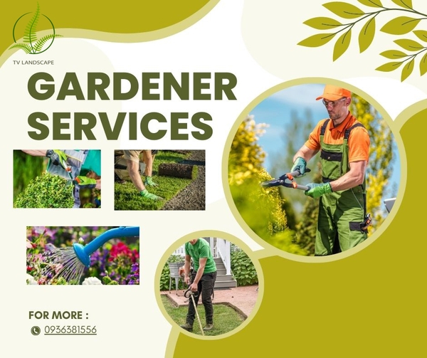 Maintain and care for landscape trees