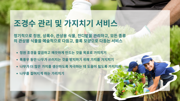 분재나무, 그늘나무 컨설팅 및 가지치기