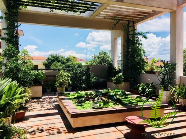 Cách bố trí cây cảnh trên sân thượng