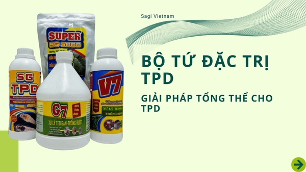 Bộ tứ đặc trị tpd của Sagi Vietnam