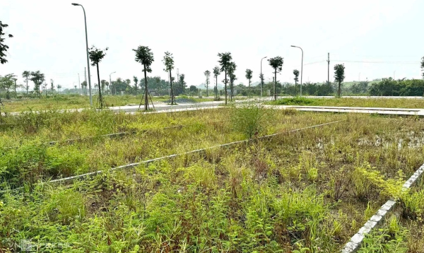 Chiêu đẩy giá đất nền huyện ven 'ăn theo' đấu giá