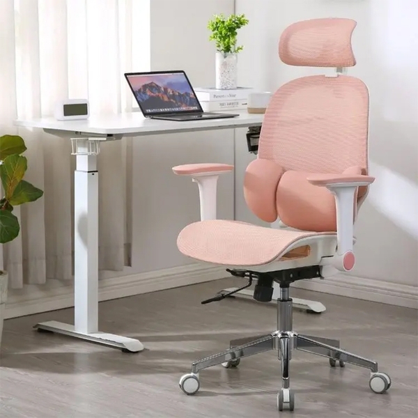 Ghế Công Thái Học Manson E3 Lite – Phiên Bản Đệm