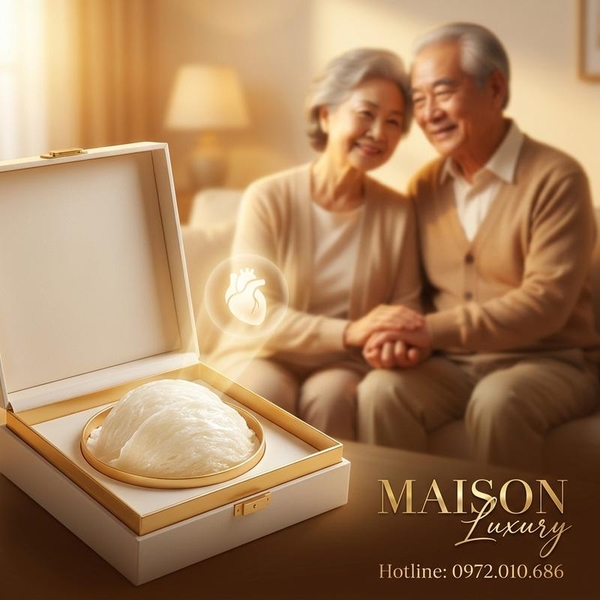 Chọn Yến Sào Làm Quà Biếu Cho Người Già Bệnh Tim: Hướng Dẫn An Toàn & Tinh Tế