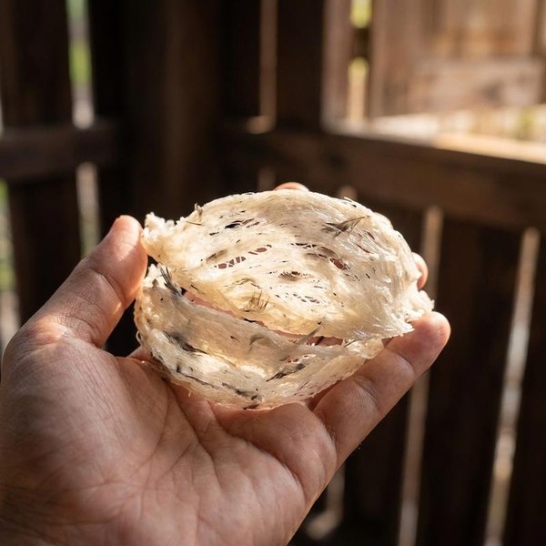 Có Nên Mua Yến Tươi Tại Nhà Yến? Chuyên Gia Phân Tích Ưu Nhược Điểm