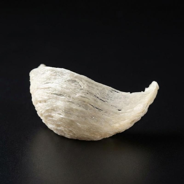 Bật Mí Quy Trình Làm Sạch Yến Rút Lông Khô Đạt Chuẩn Xuất Khẩu Tại Xưởng