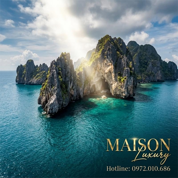 Giải Mã Sức Mạnh: Sợi Yến Đảo Tại Sao Lại Là Thần Dược Cho Xương Khớp?