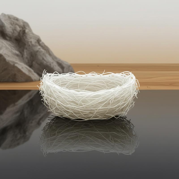 So Sánh Yến Nhà Và Yến Đảo: Phân Tích Ưu Nhược Điểm Chi Tiết