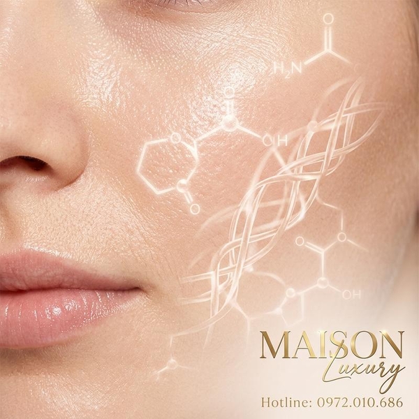 Proline: Bí Mật Tái Tạo Mô Liên Kết Và Trẻ Hóa Tế Bào