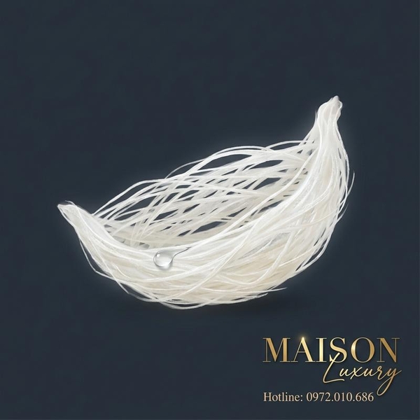 Yến Sào: 'Vệ Sĩ' Bảo Vệ Tế Bào Thần Kinh Khỏi Oxy Hóa